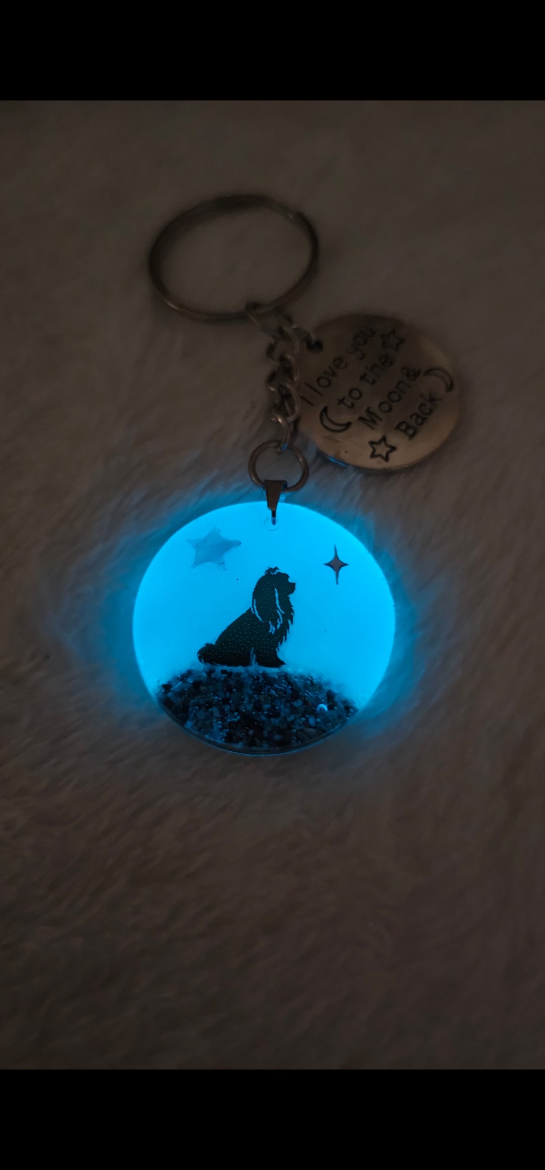 Llavero emocional que brilla en la oscuridad con cenizas y pelito de mascota